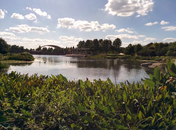 Looking over in the direction of the food trucks
