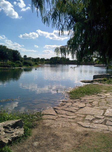 Surrender to serenity