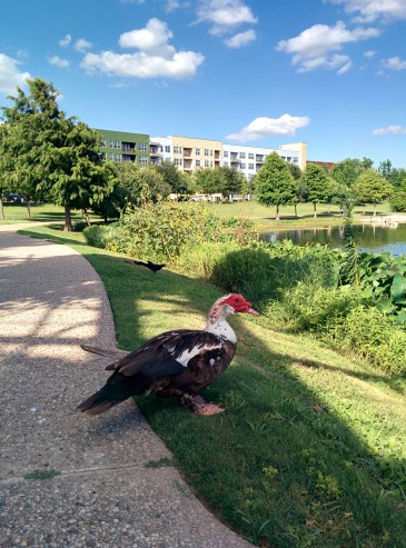 Don't believe me? Just ask this fella