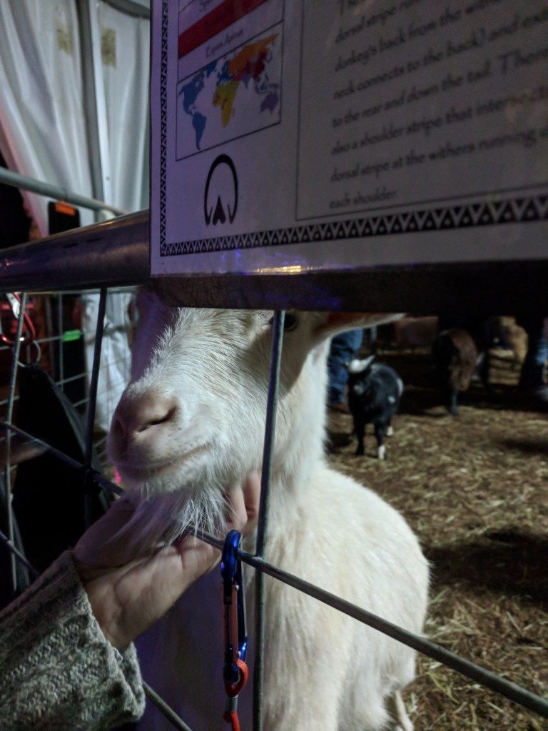 IMG_20171208_204447_1